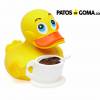 patito de goma cafetero