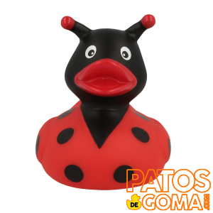 pato de goma mariquita